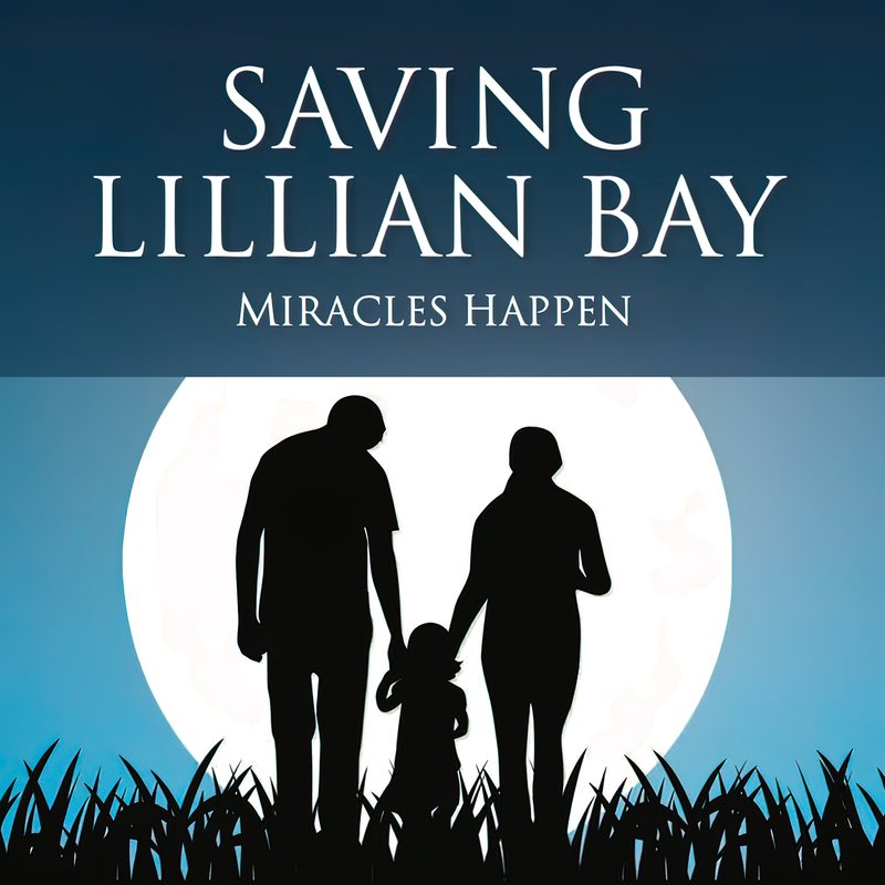 Saving Lillian Bay e-book cover